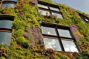 ландшафтный дизайн от Патоля : вертикальные сады и водоемы на стенах 