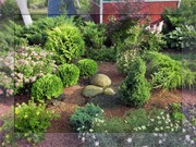 Ландшафтний дизайн Озеленення Декор у садку